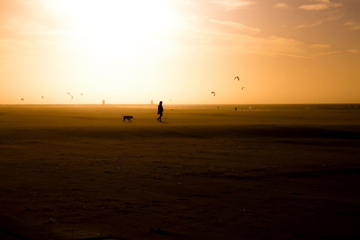 Wandelaar met hond op een breed strand bij zonsondergang