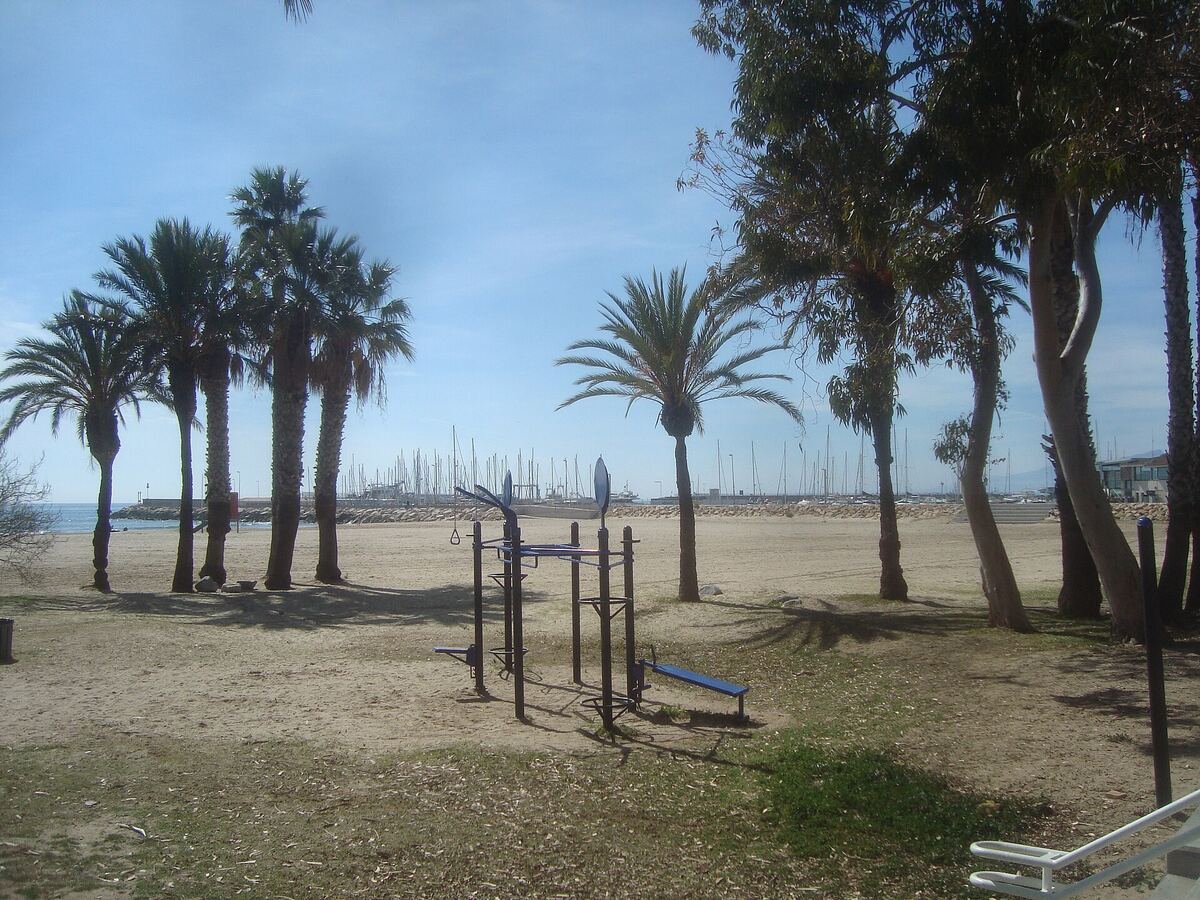 Palmen en strand in Cambrils aan de Costa Daurada
