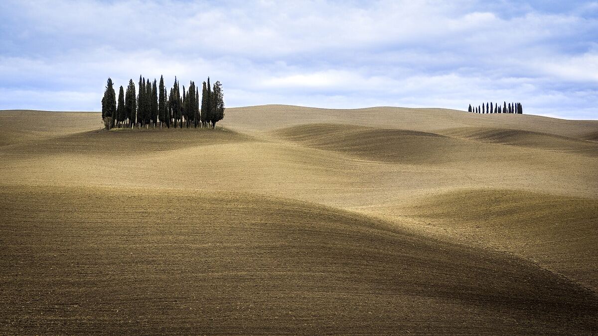 Glooiende velden met cipressen in de Val d'Orcia in Toscane