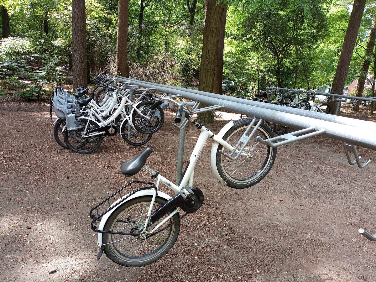 Witte fietsen geparkeerd onder hoge bomen in Nationaal Park De Hoge Veluwe