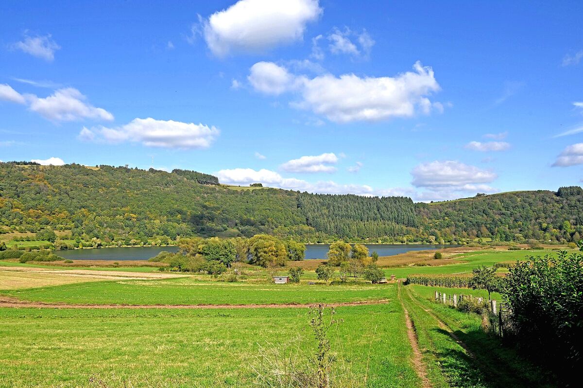 Het Meerfelder Maar, een vulkanisch kratermeer in de Eifel