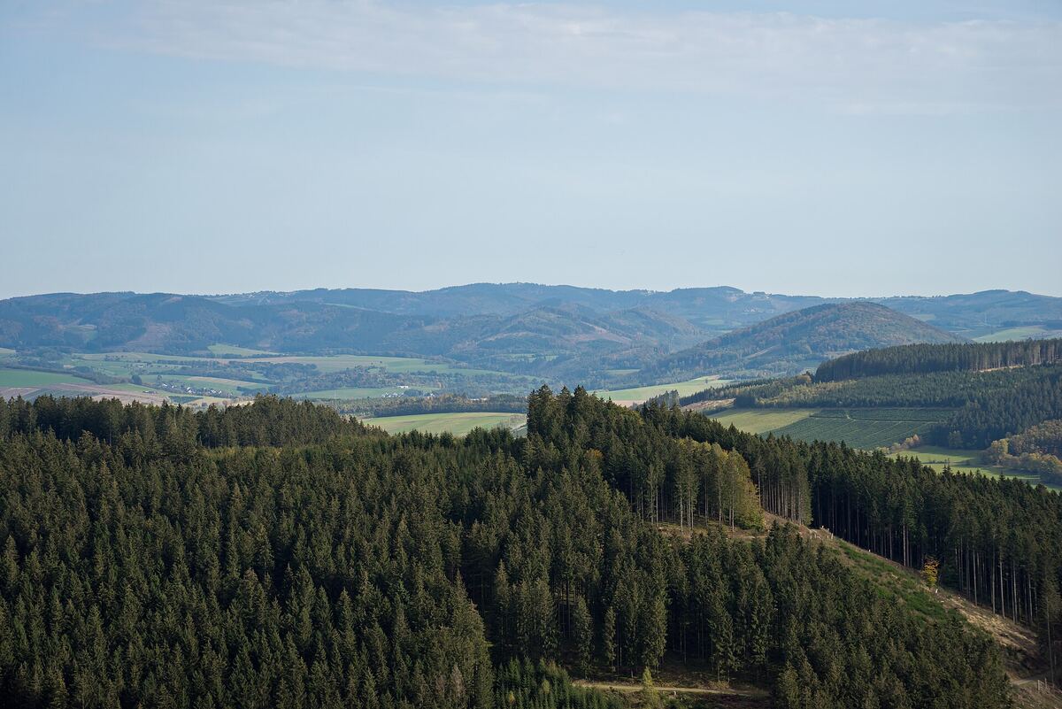 Beboste heuvels van het Sauerland rond de Kahler Asten
